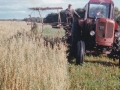 Karl, Thue og Tinne Gammelvind høster i Lundbæk i slutningen af 1970'erne. For yderligere oplysninger, se menupunktet 'Vind i billeder' -> 'Månedens billede, september 2015'.