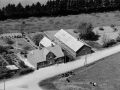 36. Vind, 1949. Røjkærvej 1 (kirkebyens købmandsforretning) og 3 (forsamlingshus).