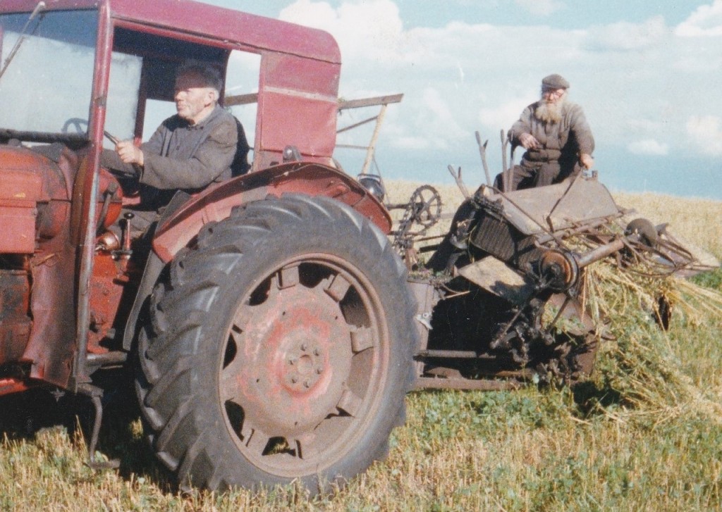 Herover og nedenfor: Karl, Thue og Tinne Gammelvind høster i Lundbæk i slutningen af 1970'erne. Klik på billederne for at se dem i stort format.