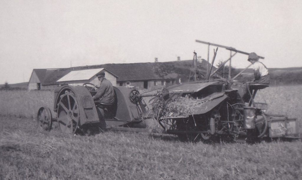 Der høstes i Troldtoft, omkring 1930.