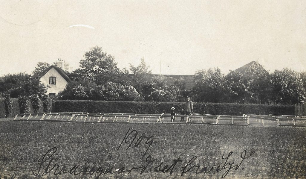 Plantør Tang fotograferet ved Stråsøgård i 1909.